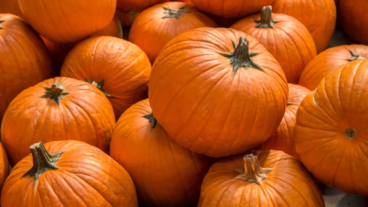 Benefici della zucca - RicettaSprint