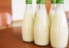 Latte scaduto, non buttarlo subito: ecco come possiamo riutilizzarlo in casa Come usare il latte scaduto - RicettaSprint