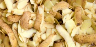 Bucce di patate, non buttarle: come riutilizzarle in cucina Come usare le bucce di patate - RicettaSprint