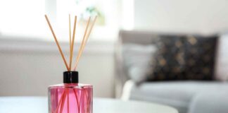 Deodorante per ambienti naturale con meno di 5 euro: lo prepari in pochi minuti Deodorante ambienti 5 euro - RicettaSprint