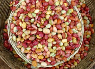 Quali legumi mangiare a settembre con l’inizio dell’autunno Legumi in autunno - RicettaSprint
