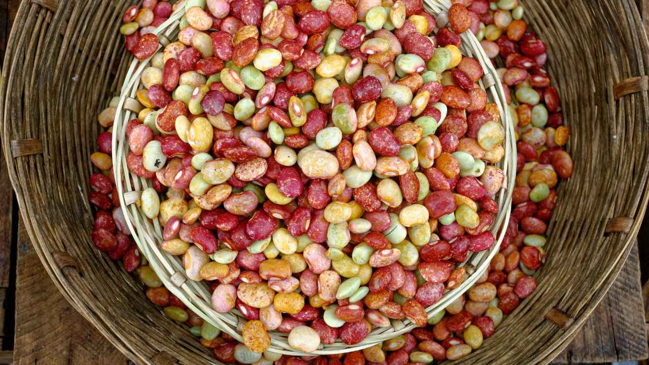 Legumi in autunno - RicettaSprint