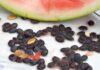Semi di anguria, si possono mangiare? Ecco perché non dobbiamo necessariamente buttarli Mangiare semi dell'anguria - RicettaSprint