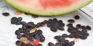 Mangiare semi dell'anguria - RicettaSprint