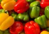 Peperoni in frigo tutto l'anno - RicettaSprint.it