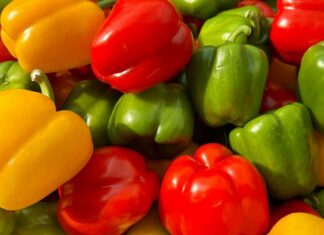 Peperoni in frigo tutto l'anno - RicettaSprint.it