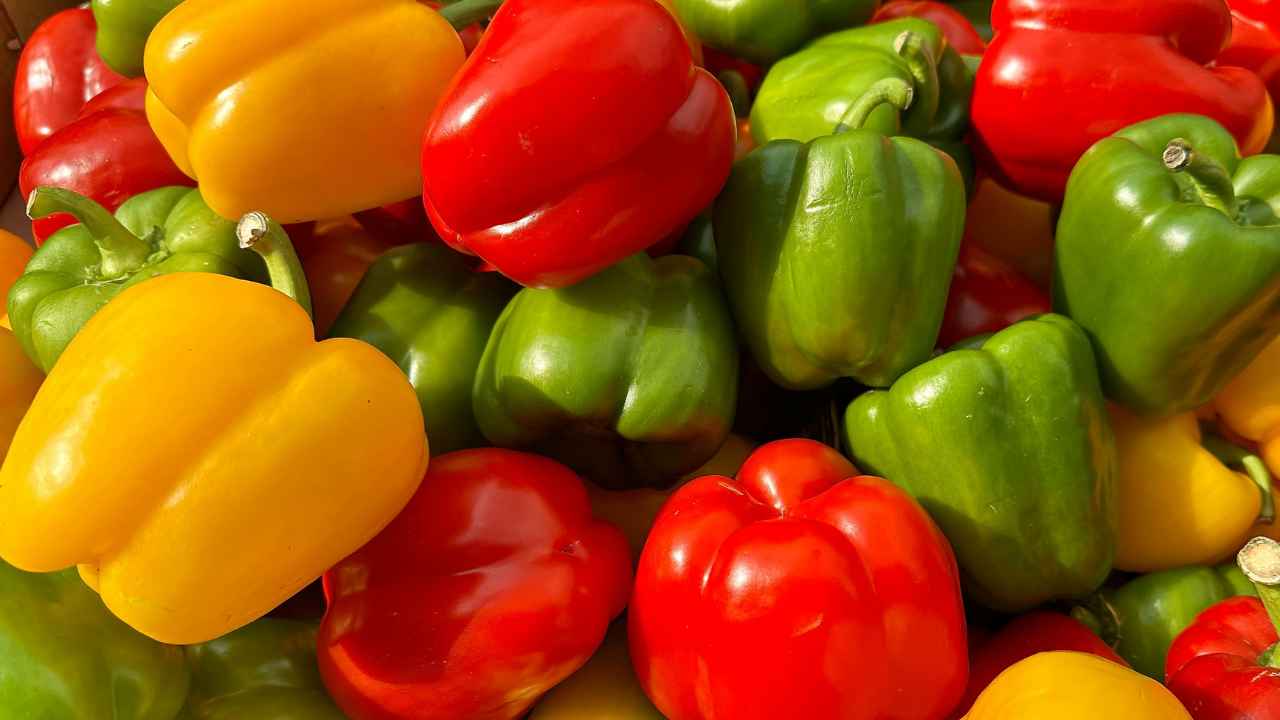 Peperoni in frigo tutto l'anno - RicettaSprint.it