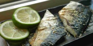 Durante la dieta conviene mangiare il tonno o lo sgombro? Le differenze da conoscere Sgombro o tonno durante la dieta - RicettaSprint