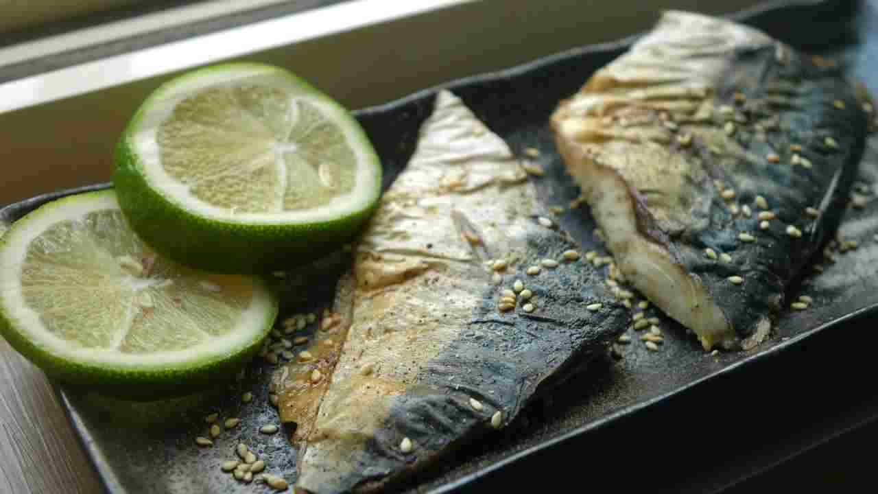 Sgombro o tonno durante la dieta - RicettaSprint