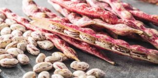 fagioli 10 ricette