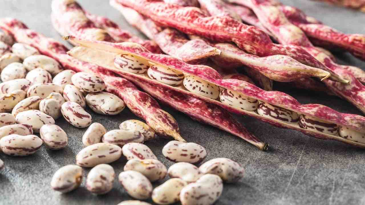 fagioli 10 ricette