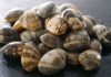 5 migliori ricette con le vongole da provare in queste serate 5 ricette con le vongole