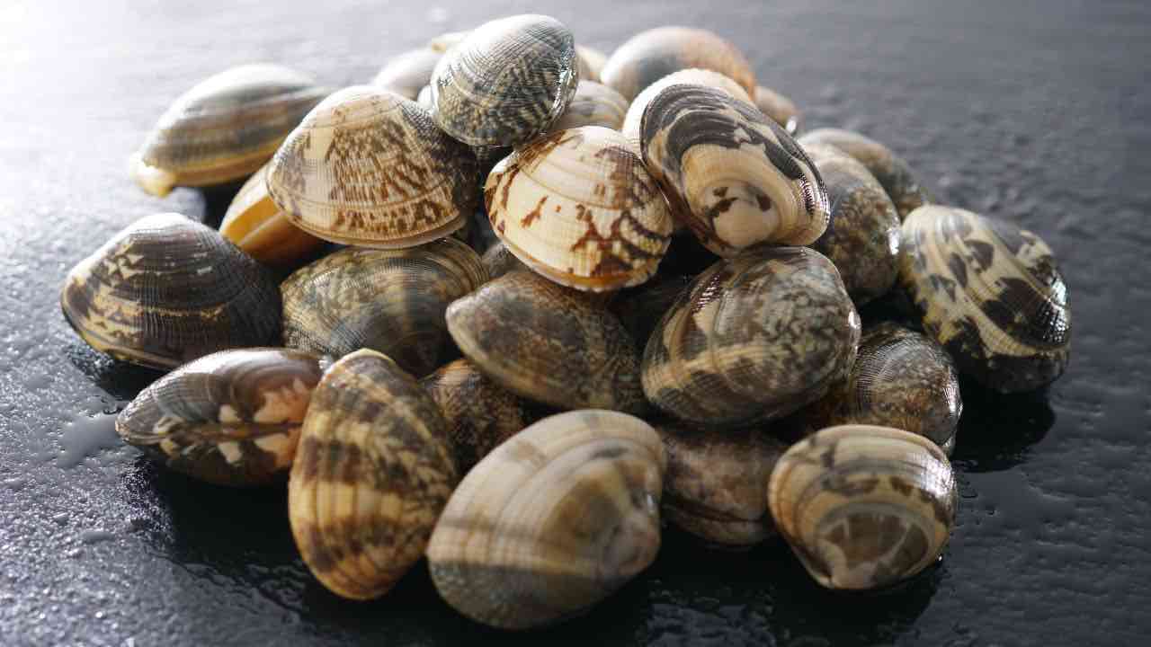 5 ricette con le vongole