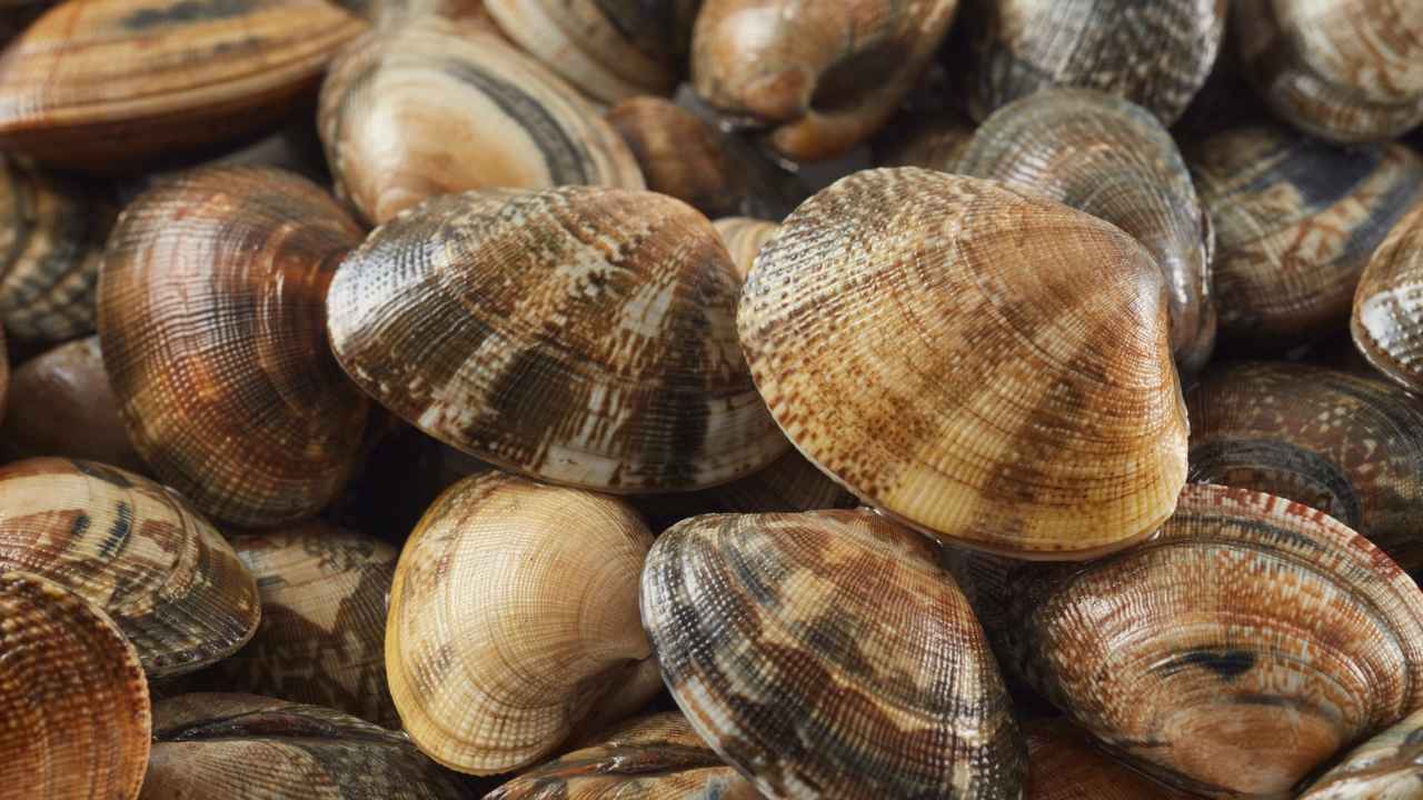 Come pulire le vongole - RicettaSprint