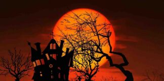 Tre dolci per Halloween super scenografici tre dolci di halloween