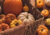 Come scegliere una buona zucca: i trucchi per riconoscere quella dolce, matura e saporita come scegliere una zucca