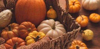 Come scegliere una buona zucca: i trucchi per riconoscere quella dolce, matura e saporita come scegliere una zucca