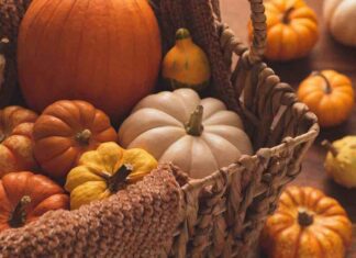 come scegliere una zucca