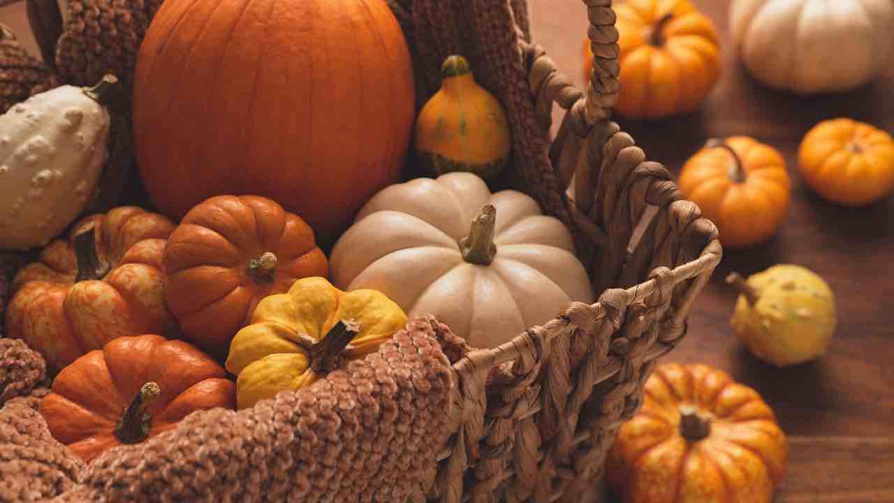 come scegliere una zucca